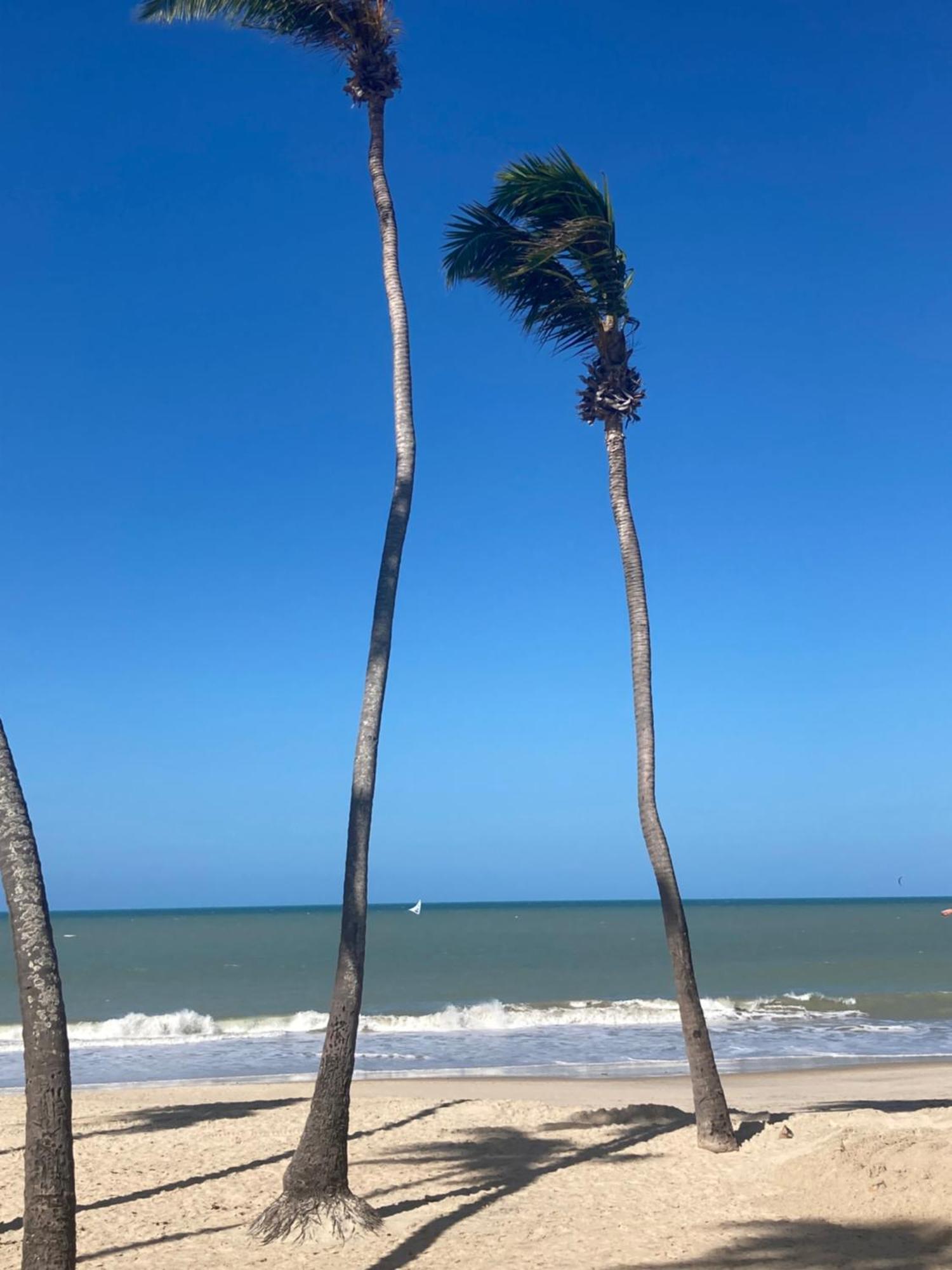 Eco Paradise Cumbuco Pe Na Areia 202 Экстерьер фото